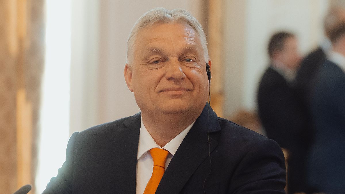 Orbán Viktor miniszterelnök hivatalos fotója.